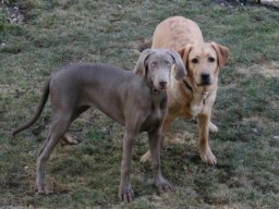 2_Sekunden_Fotopause_-_Ginger_und_Marlon