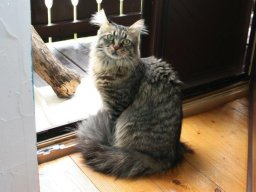 liebes_M.C_MÃ¤dchen_Penelope