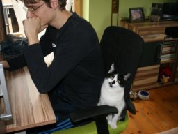 sÃ¼ÃŸes_KatzenmÃ¤dchen_Mitzi