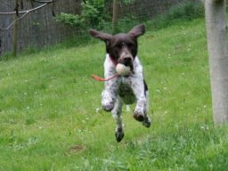 SpaÃŸ_beim_Ballspielen_-_Amy