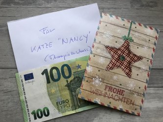 Therapiezuschuss für Katze Nancy im Franziskus Tierheim