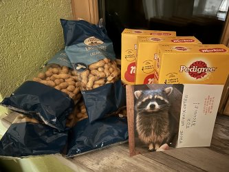 Futter für den Waschbären