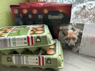 Futter für den Fuchs