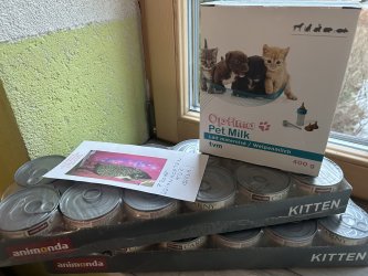 Futter für den Igel