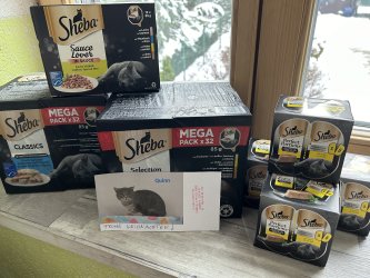 Ein Berg voll Katzenfutter