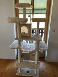 Der Kratzbaum nach dem Zusammenbauen