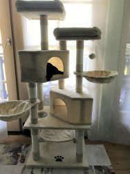 Der fertige Kratzbaum wird schon von der Hauskatze in Anspruch genommen