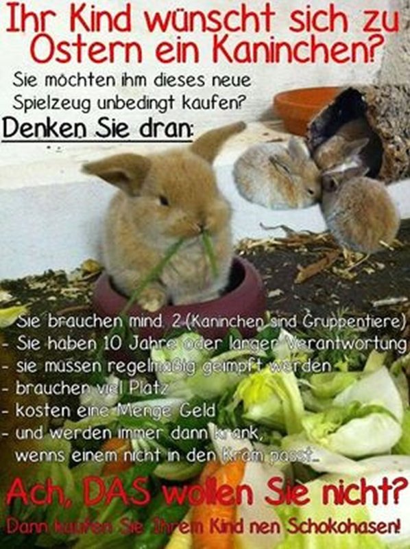 Kaninchen zu Ostern